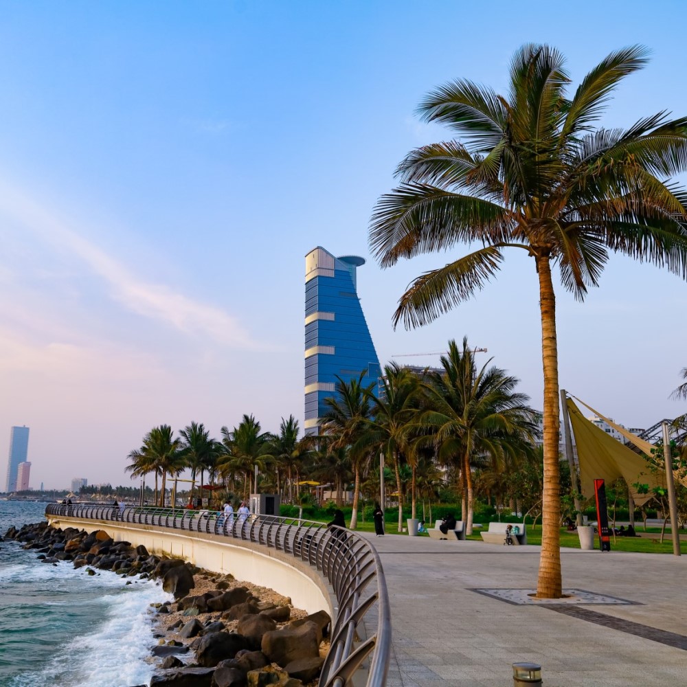 Jeddah beach with a palm tree. Behind it a hotel.