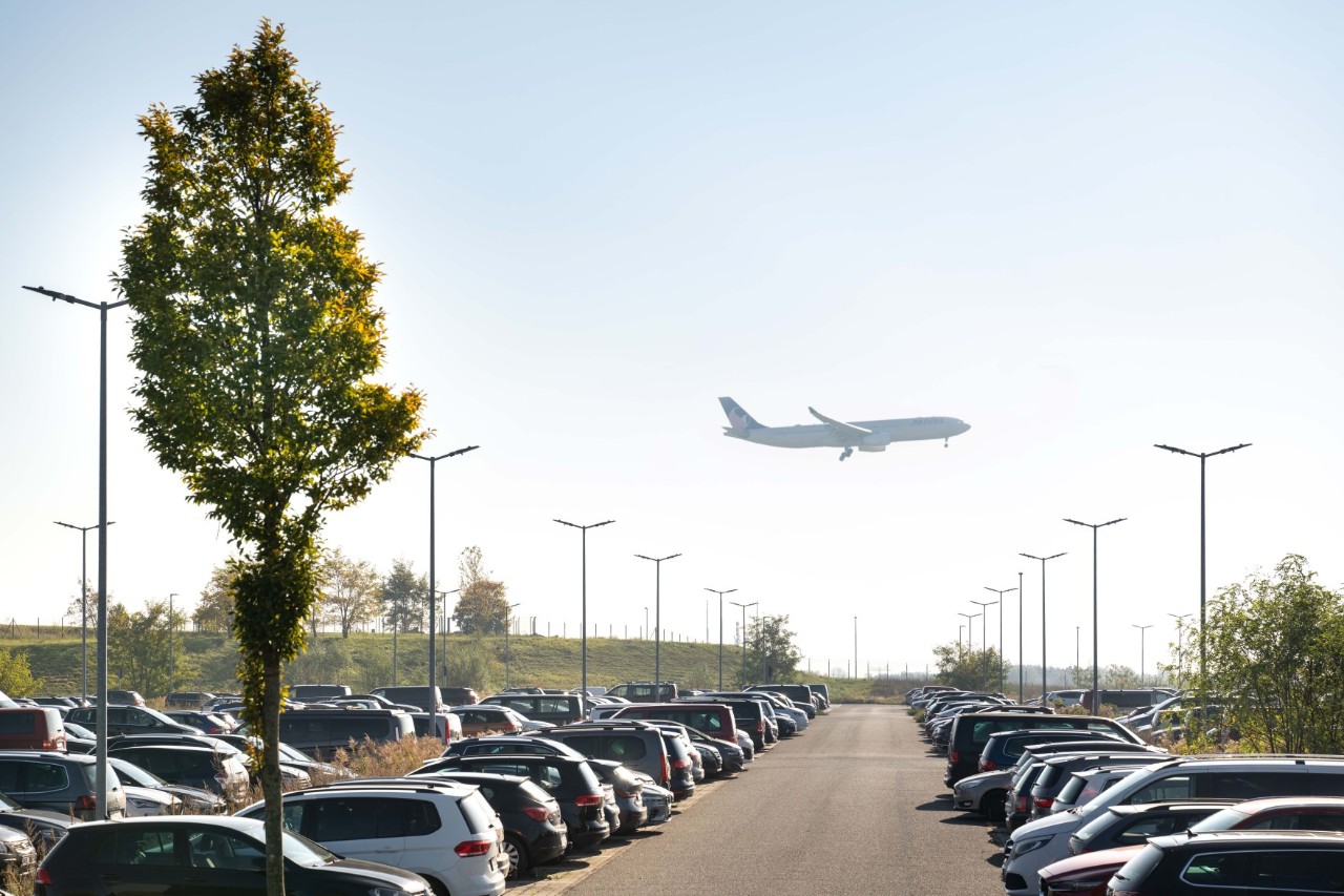 A parking lot with many cars. A plane is landing in the background. There are trees in the parking lot.