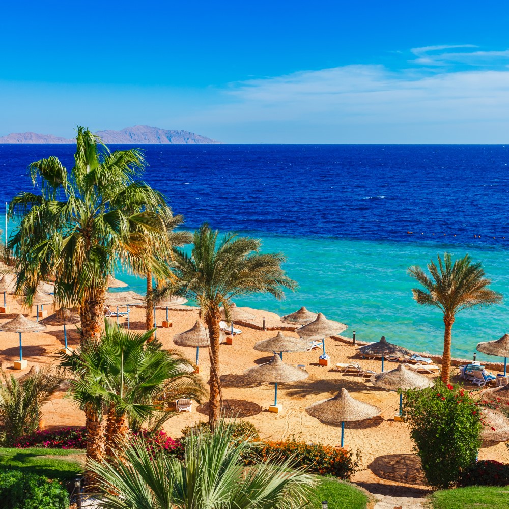 Beach with palm trees and parasols. Behind it a turquoise and dark blue sea and above it a blue sky.
